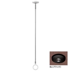ホスクリーン 室内用 天井付 スポット型 1本入 ブラック SPCL-BL