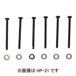 ホスクリーン 鉄骨ネジ 1袋 HP-21
