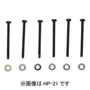 HP-21 [ホスクリーン 鉄骨ネジ 1袋]