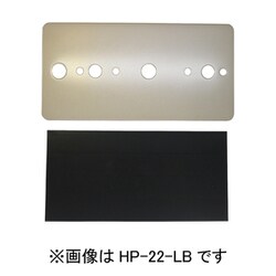ホスクリーン 凸凹壁用プレート 1袋 ライトブロンズ HP-22-LB