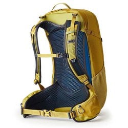 Gregory - Gregory Juno 24 登山　ハイキング リュック イエロー 24L Gregory Juno 24 Pack - Women's | REI Co-op