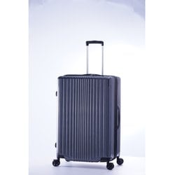 スーツケース FiL Pake 拡張タイプ 旅行日数目安：8～10泊 100L/拡張時114L TSAロック搭載 ALI-6060-28W ガンメタブラッシュ