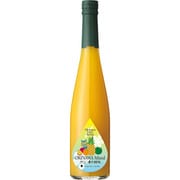 沖縄フルーツチャンプルーシロップ 500ml [希釈タイプ飲料]