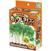 55430 [てのひら実験室 水耕栽培でカイワレダイコンを育てよう]