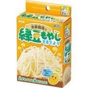 102917 [てのひら実験室 水耕栽培で緑豆もやしを育てよう]