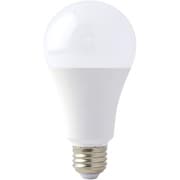 CLD-14W [TRAD LED交換球 CLD-14W 100形 #316363]