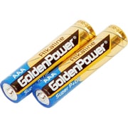 アルカリ乾電池 GoldenPower(ゴールデンパワー) 単4形 2本入 GLR03A