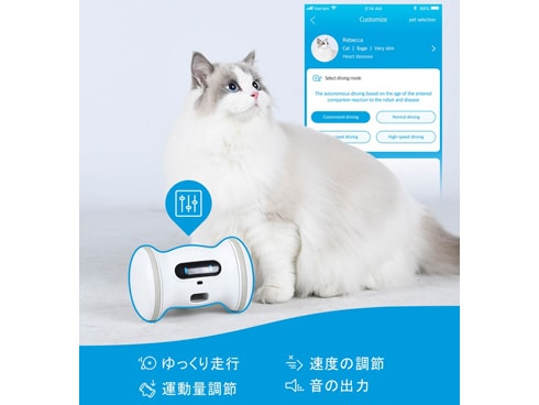 ヨドバシ.com - バレム VARRAM VRF1000 [VARRAM PET FITNESS] 通販【全品無料配達】