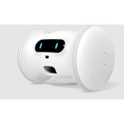 VRF1000 [VARRAM PET FITNESS]