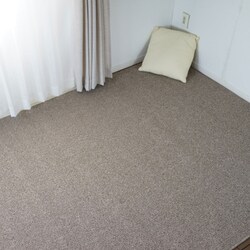ラグ サウンドルベリー 352cm×440cm ベージュ 13286498-2