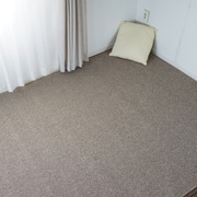 ラグ サウンドルベリー 352cm×440cm ベージュ 13286498-2
