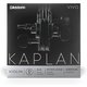 バイオリン弦 KAPLAN カプラン D線 Medium Tension KV313 4/4M