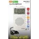 AM/FM コンパクトラジオ DSP液晶表示 RAD-P391Z