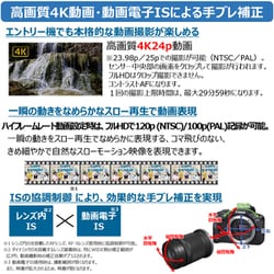 ヨドバシ.com - キヤノン Canon EOS R100 ダブルズームキット [ボディ