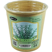 かんたんおうちキッチン ローズマリー