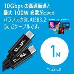USB3.2 Gen2 1m 10Gbps PD3.0 100W eMarkerIC 4K-60Hz ヨドバシカメラ限定 Y-G2-10