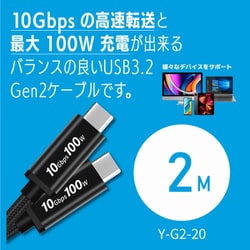 USB3.2 Gen2 2m 10Gbps PD3.0 100W eMarkerIC 4K-60Hz ヨドバシカメラ限定 Y-G2-20