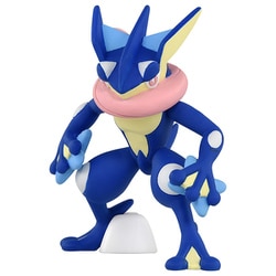 ゲッコウガ１８枚セット ヨドバシ.com - タカラトミー TAKARATOMY ポケットモンスター
