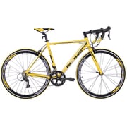 PANTHER(パンサー) ロードバイク 「Master」シリーズ 16速 前後シマノR2000使用 Master 2.0 Yellow/Grey 510