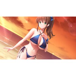 GAME ガールズフランティッククラン 完全生産限定版 Nintendo