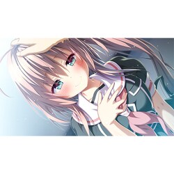 (送料無料・即日発送)トリノライン　完全生産限定版　switch 617eXO9bZwL._UF894,1000_QL80_.jpg