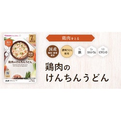 鶏肉のけんちんうどん 80g [対象月齢：7か月ごろから]