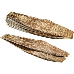 天然 竹皮型抜 先平切タイプ小 1kg 約100枚入 XKW0302