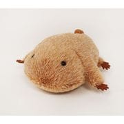 海中散歩 ぽちゃまる ぬいぐるみ S サンショウウオ [キャラクターグッズ]