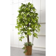 フェイクグリーン ベンジャミン 観葉植物 TAN-609
