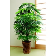 フェイクグリーン 観音竹 観葉植物 TAN-642