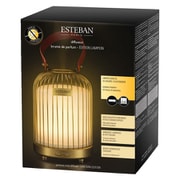 ESTEBAN パフュームミストディフューザー ランピオン