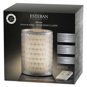 ESTEBAN パフュームミストディフューザー ライト&シルバー