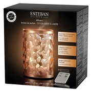 ESTEBAN パフュームミストディフューザー ライト&コッパー