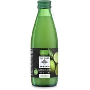 カーサ・リナルディ 有機ライム果汁 250ml