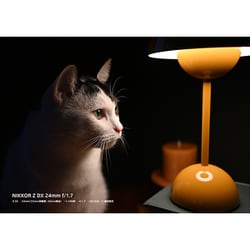❤️使用少ない❤️ニコン★D70★単焦点レンズセット★24㎜★動作品 ニコンDXレンズで最も明るい開放F1.7のコンパクトな広角単焦点