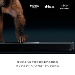 ヨドバシ.com - ゼンハイザー SENNHEISER サウンドバー AMBEO