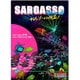 サルガッソーからの脱出 リボーン [ボードゲーム]