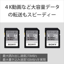 ヨドバシ.com - ソニー SONY SF-E128A T [SF-Eシリーズ SDXCカード