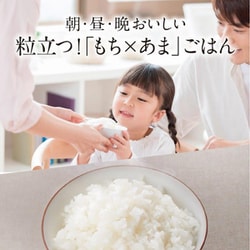 2023年製 炊飯器 備長炭 炭炊釜 [3.5合 /IH]