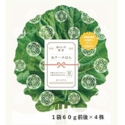 【朝採れ直送】 みらい乃野菜 高抗酸化値おケールはん 4株セット
