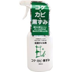 741025 [マックスクリーナー 玄関タイル用コケカビ黒ずみクリーナー 380ml]