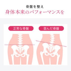 ヨドバシ.com - デリットテック DERIT TECH TESGL00291