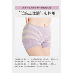ヨドバシ.com - デリットテック DERIT TECH TESGL00291