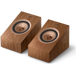イネーブルドスピーカー HiFi ウォールナット ペア R8 Meta Walnut