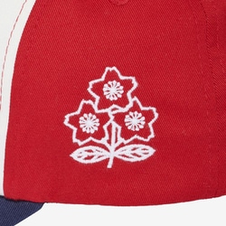 ヨドバシ.com - カンタベリー canterbury ジャパン