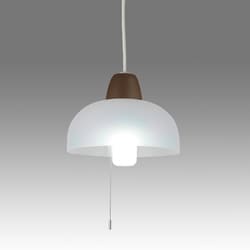 LED小型ペンダントライト PE-315BR