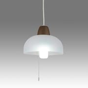 LED小型ペンダントライト PE-315BR