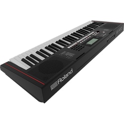 ヨドバシ.com - ローランド ROLAND アレンジャーキーボード E
