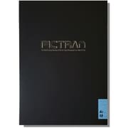 ピクトラン ミラー A2 10枚入り DFF-MR-A2-10