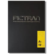 ピクトラン シルバーマット A4 10枚入り DFF-SM-A4-10